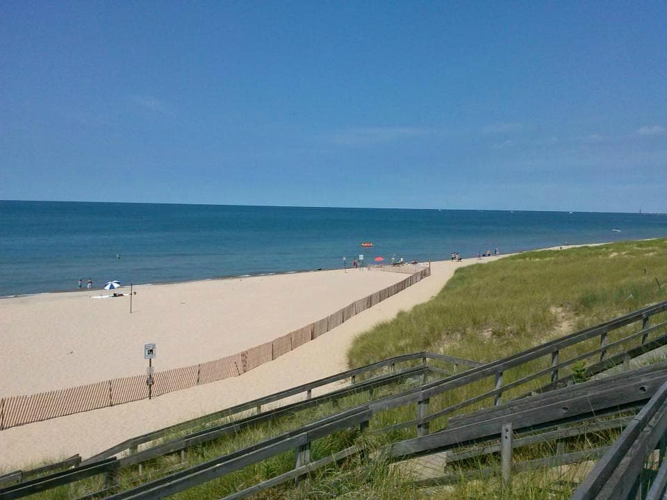 Dog beach sectioned off to the right.
