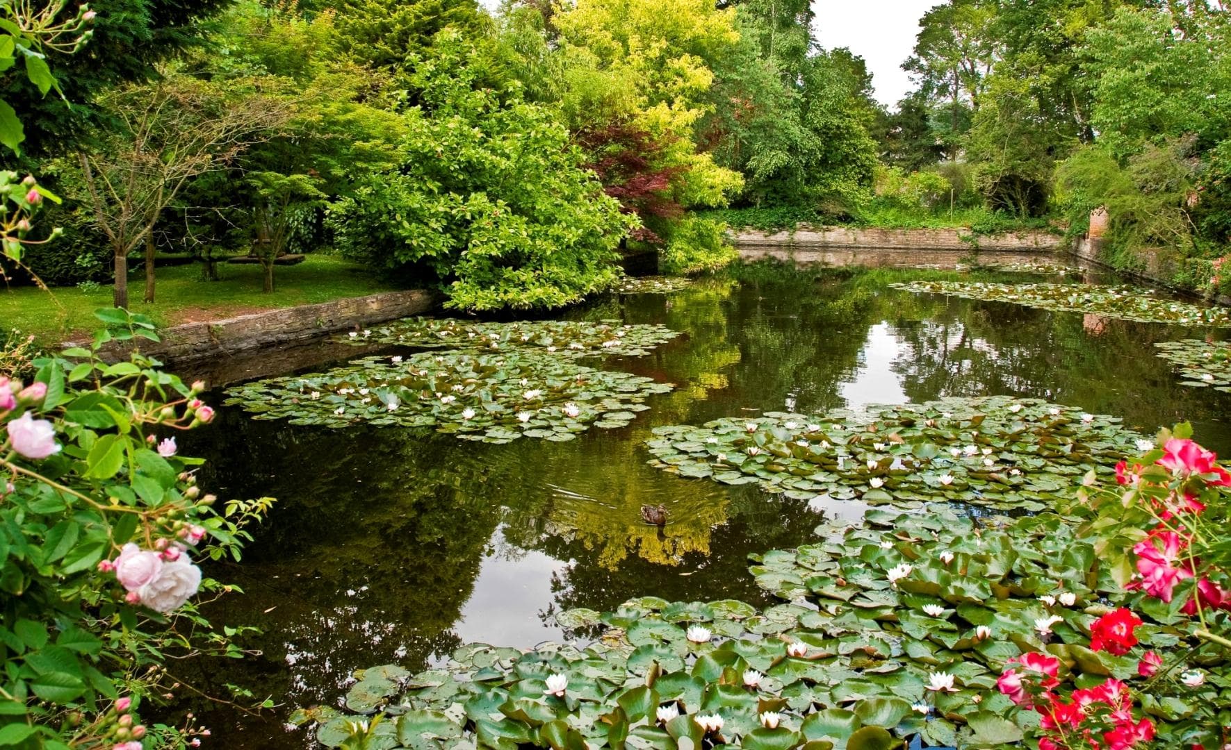 The Horse Pool