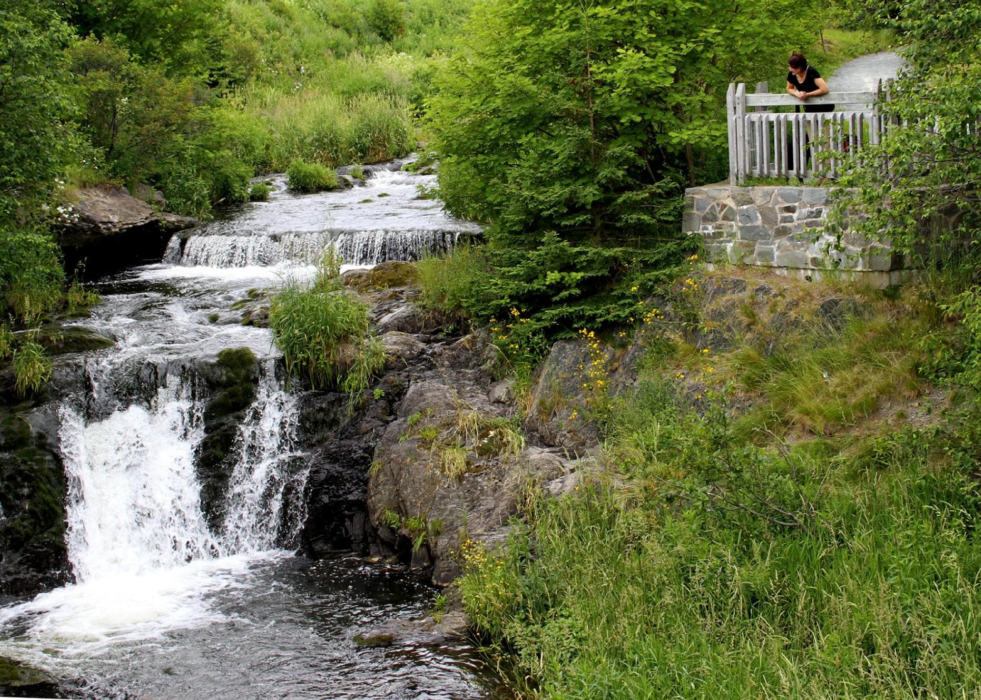 Lookout over Virginia River cascades