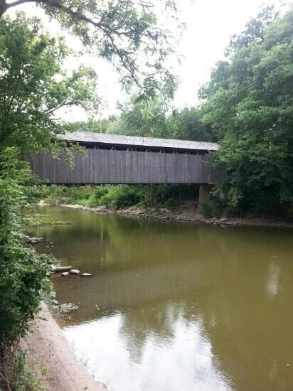 shady day on the river
