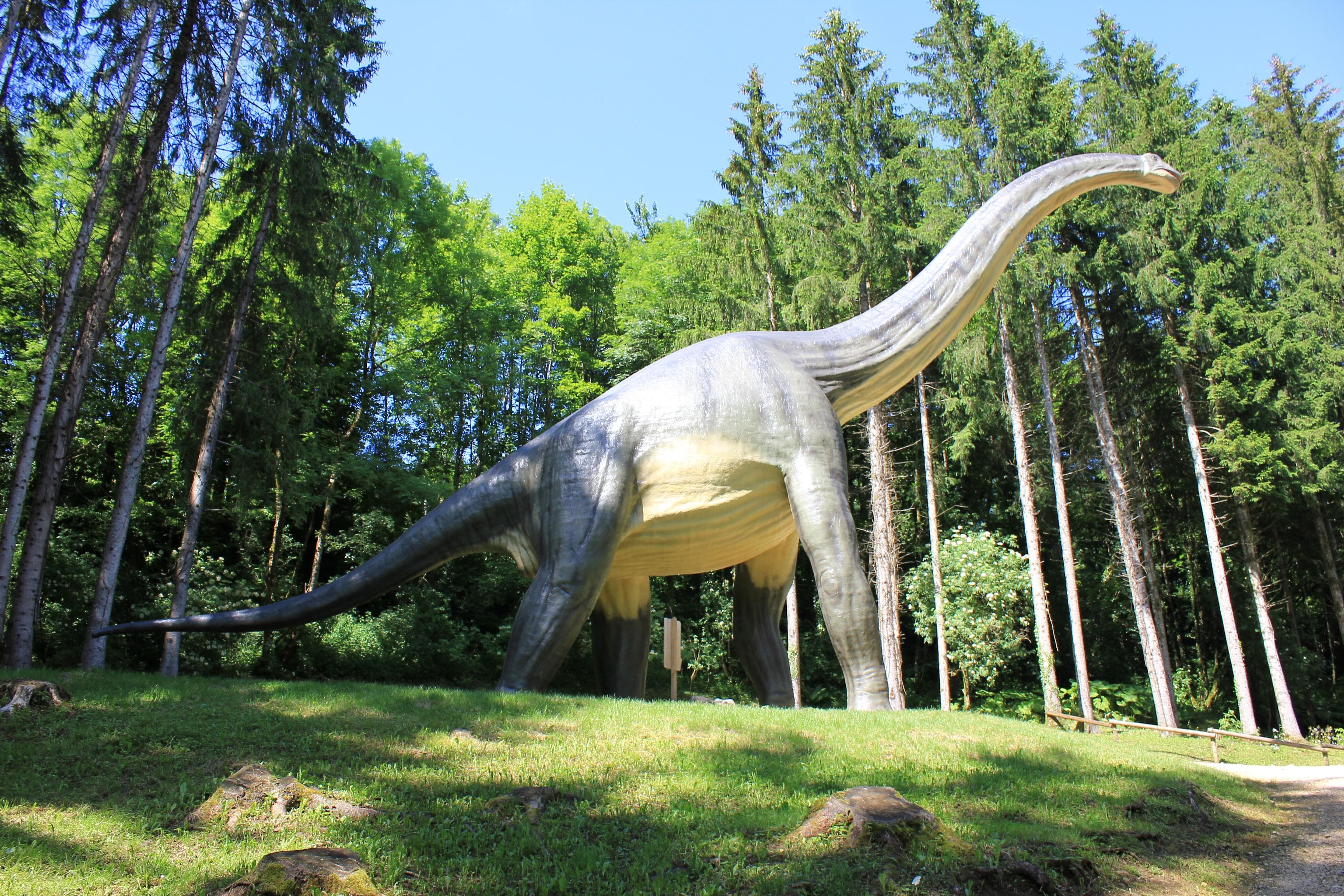 dino zoo