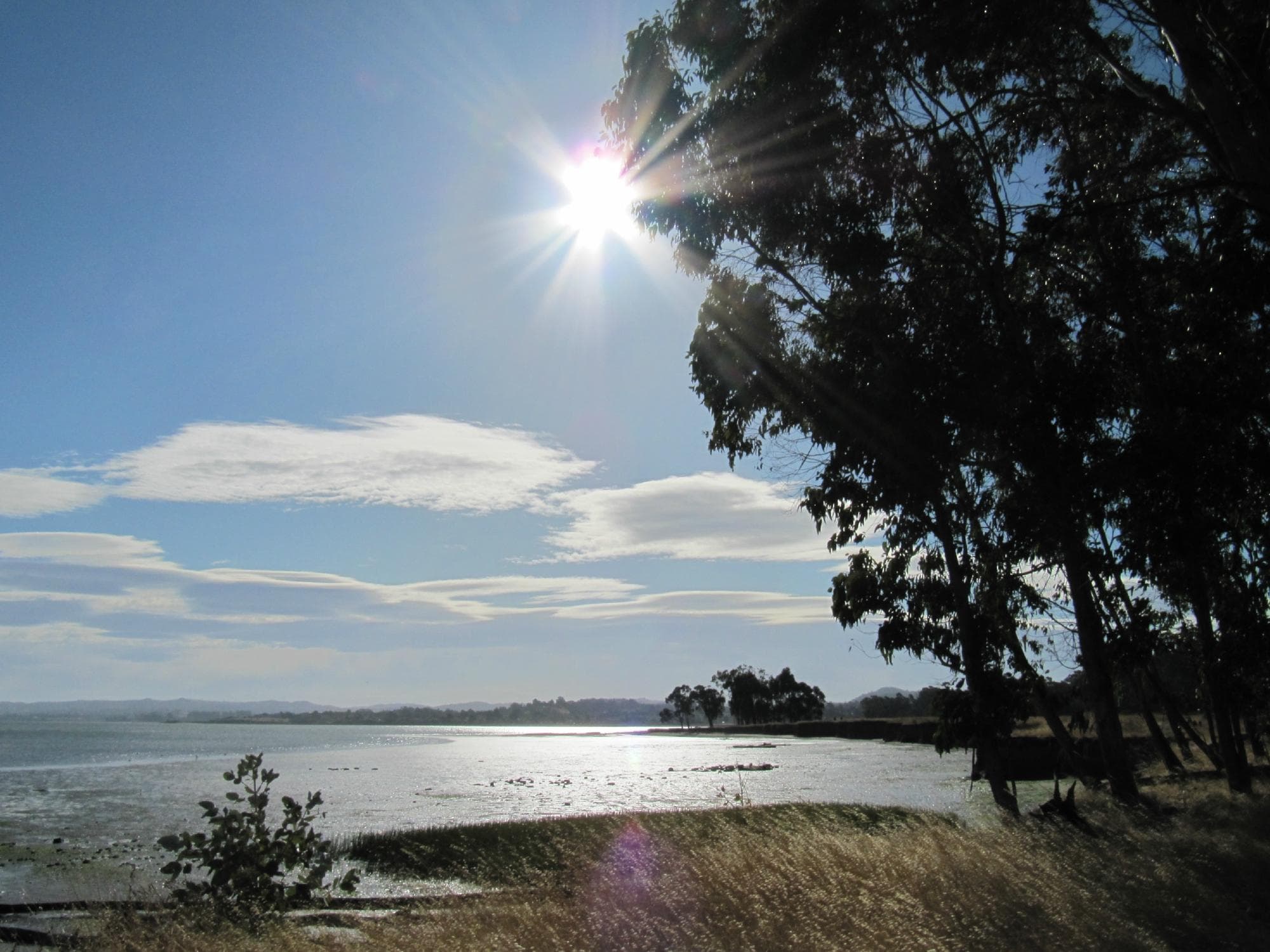 Point Pinole - looking towards Vallejo and San Pablo Bay