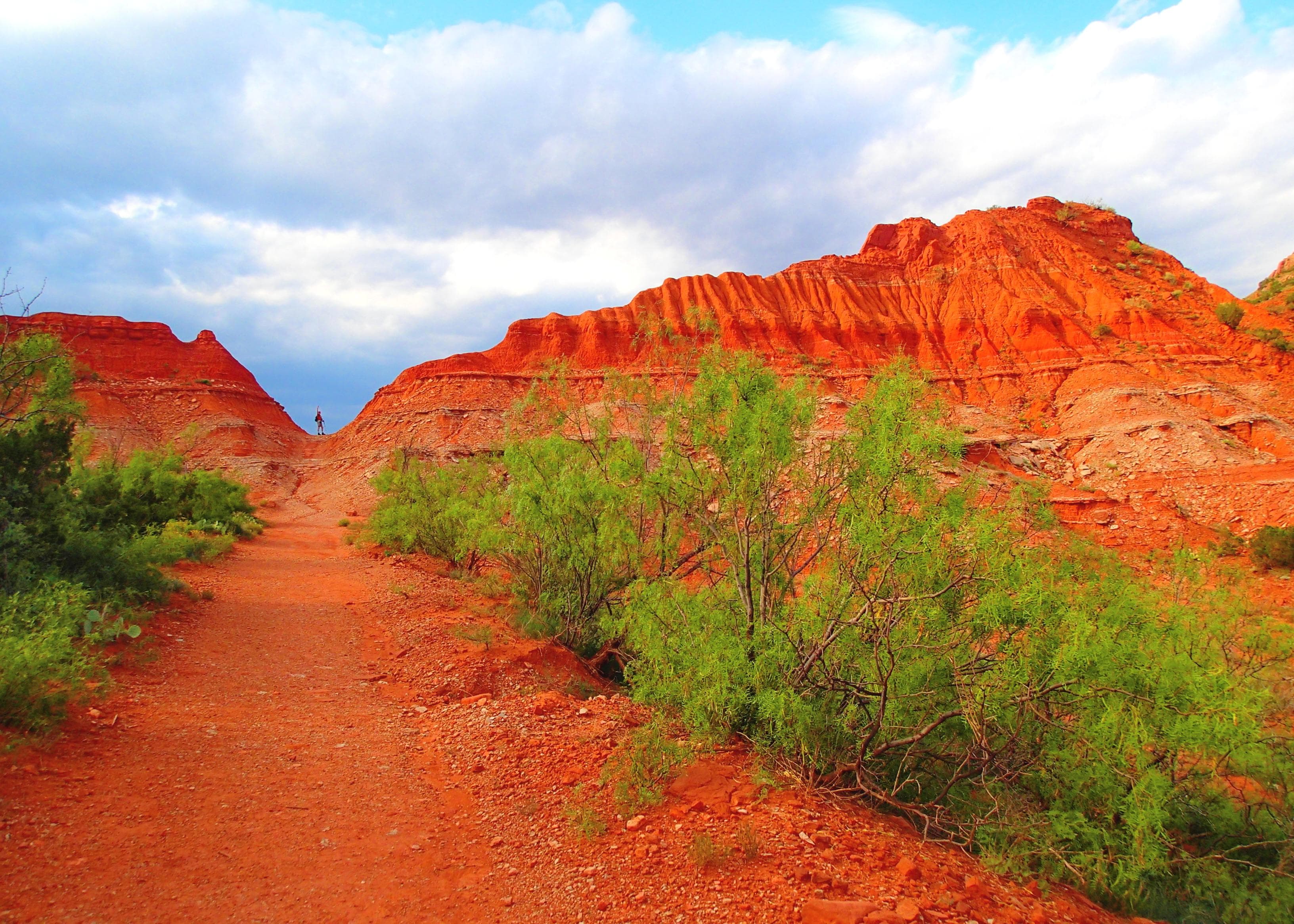 From the Canyon Loop Trail