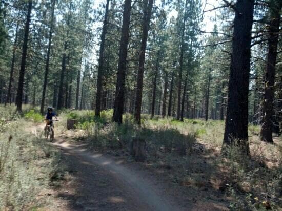 Kents Trail