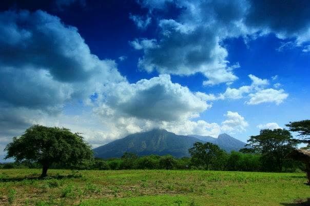 Mt Baluran seen from Savanna Bekol (pict by VINO)