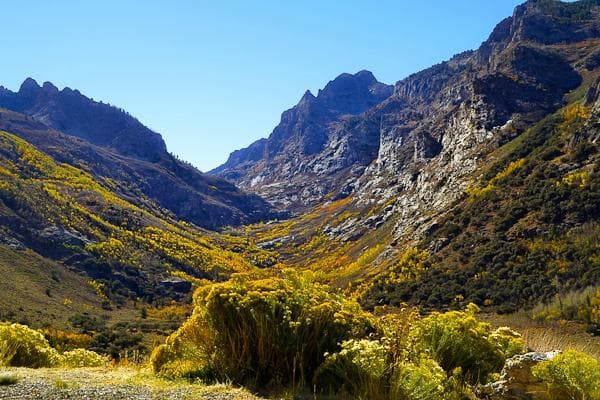 Lamoille Canyon in Fall