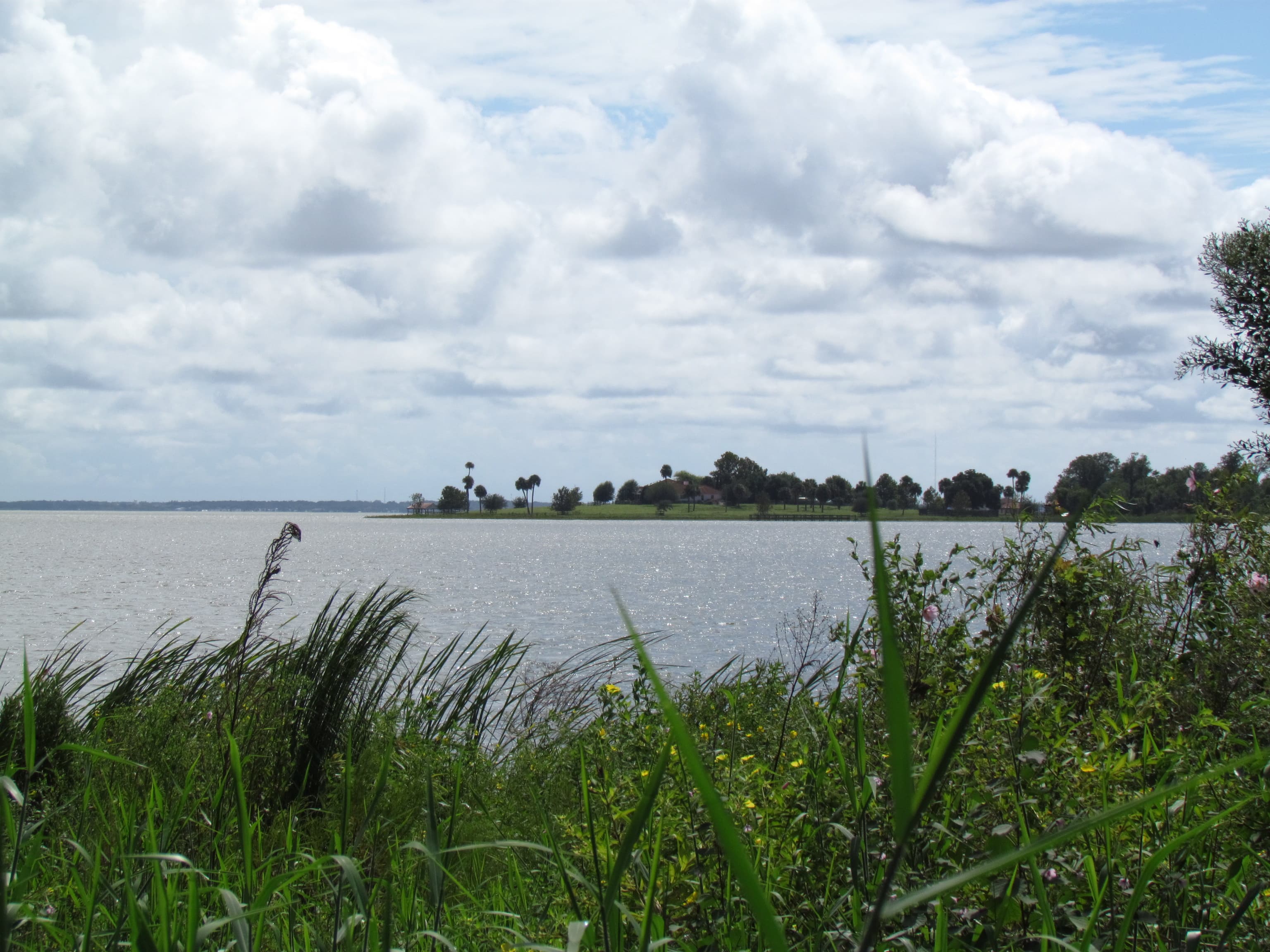 Not a very good view of Lake Apopka
