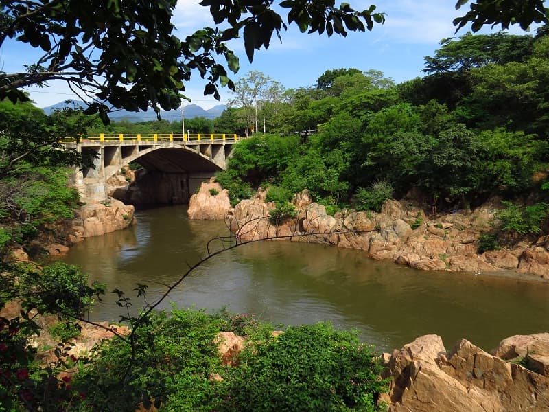Vista hacia el puente