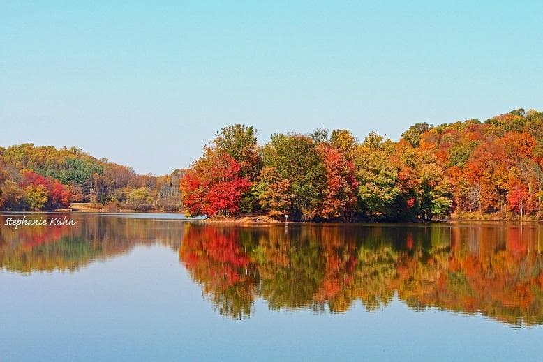 Needwood Lake