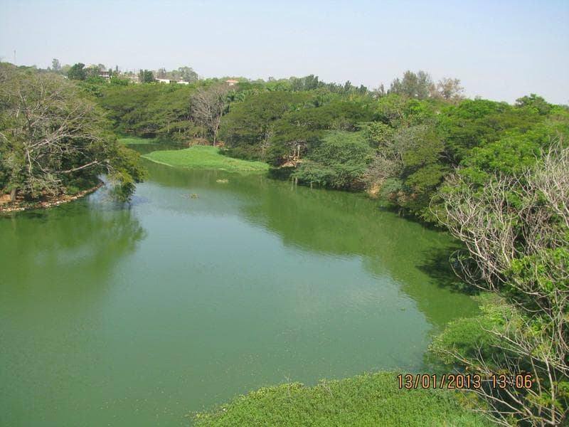 view from watch tower