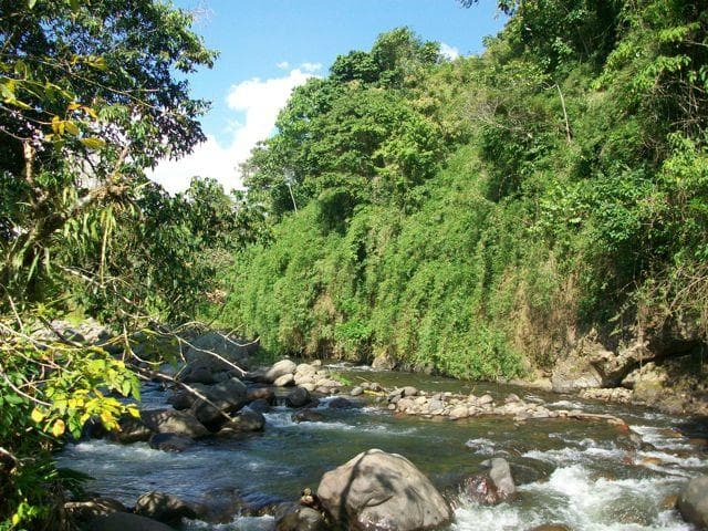 Rio Quindío - Kasaguadua