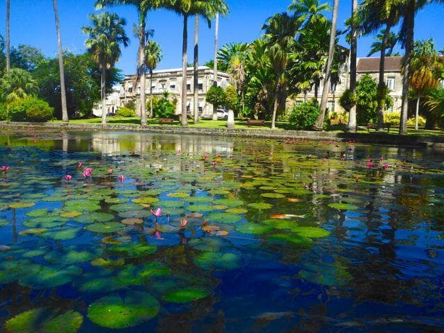 College with lily pond