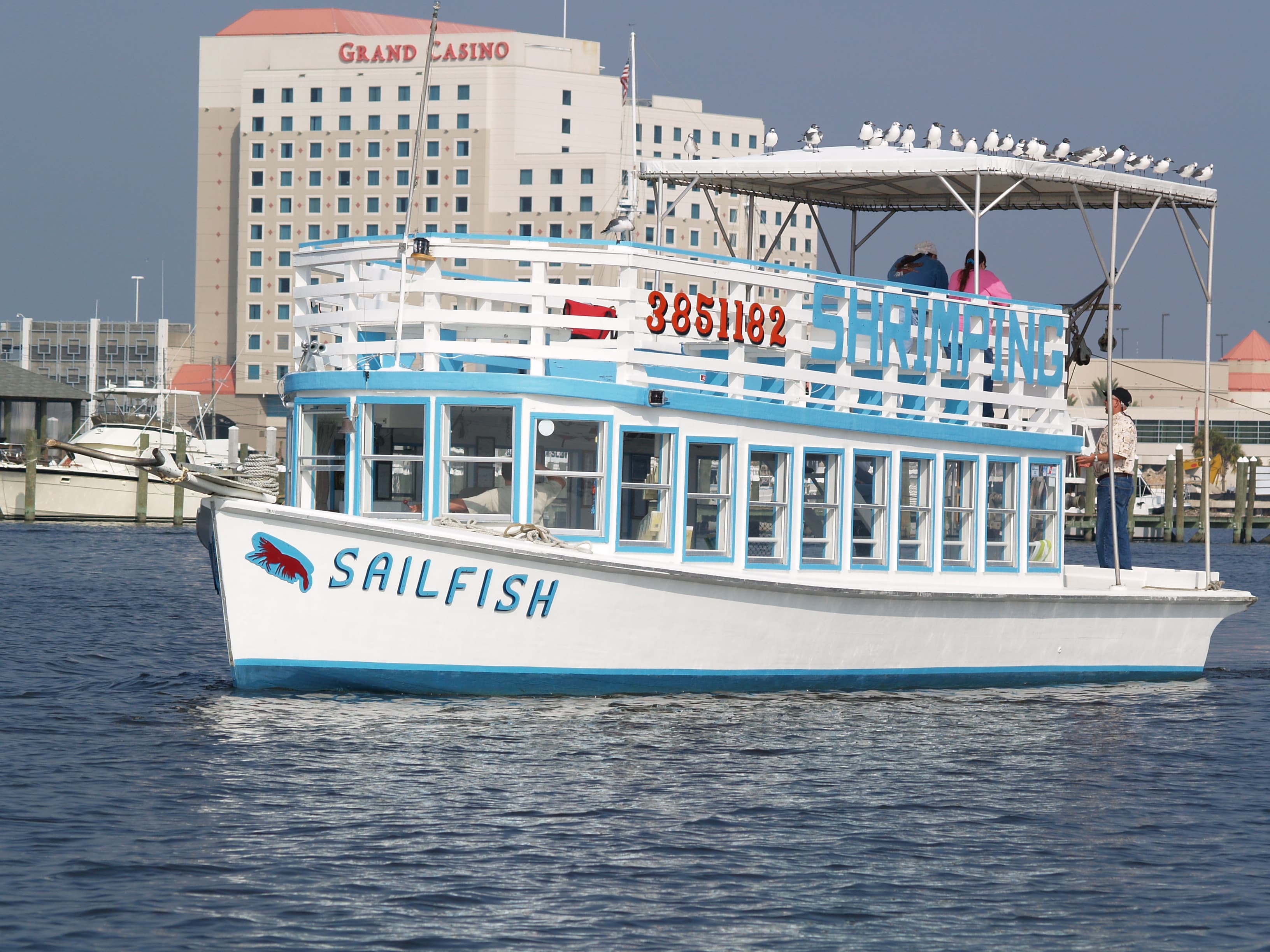 Sail Fish