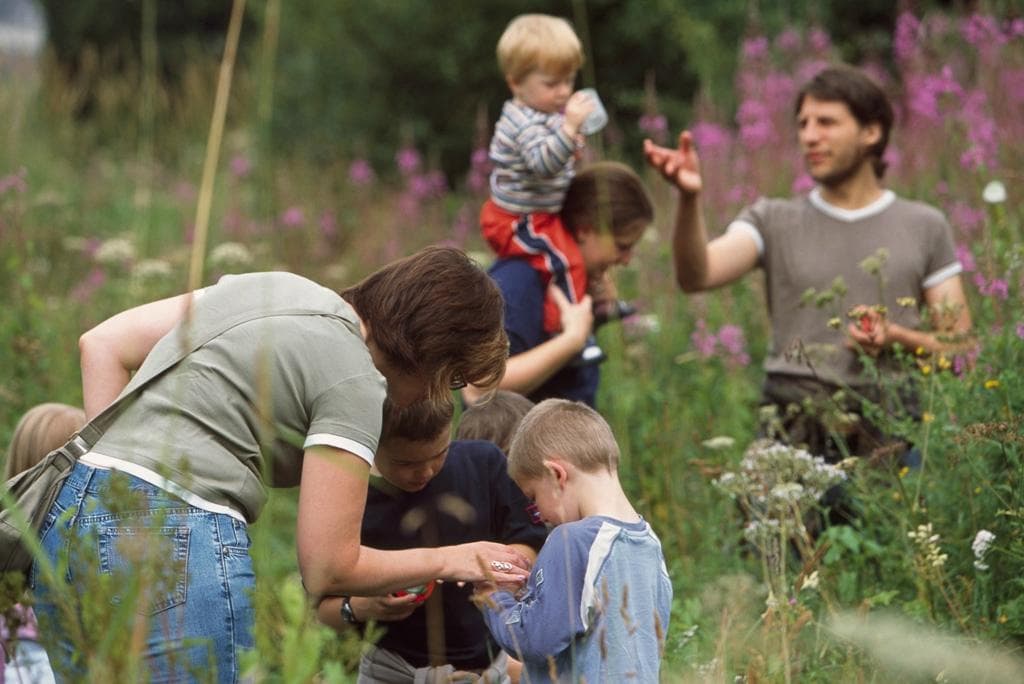 Family activities throughout the year