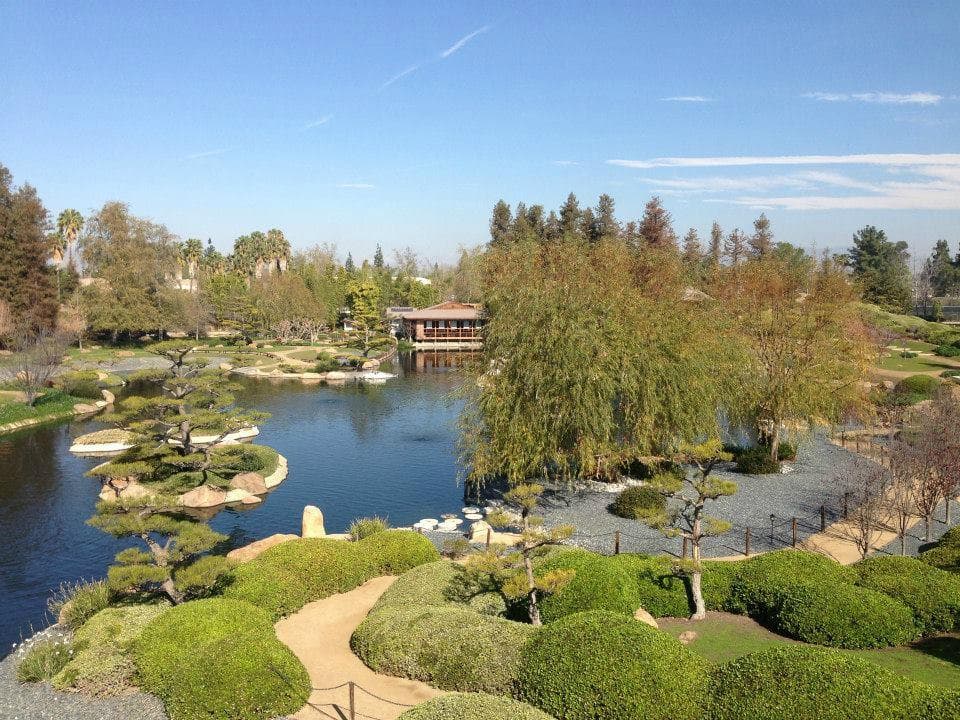 The Japanese Garden