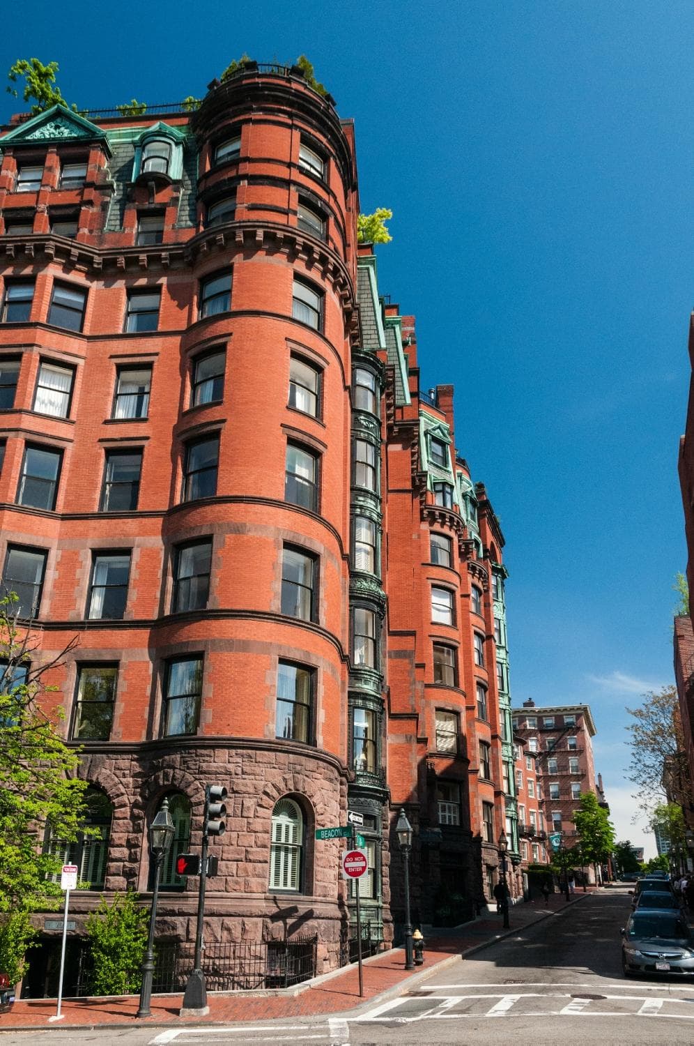 Looking Up into from Boston Common