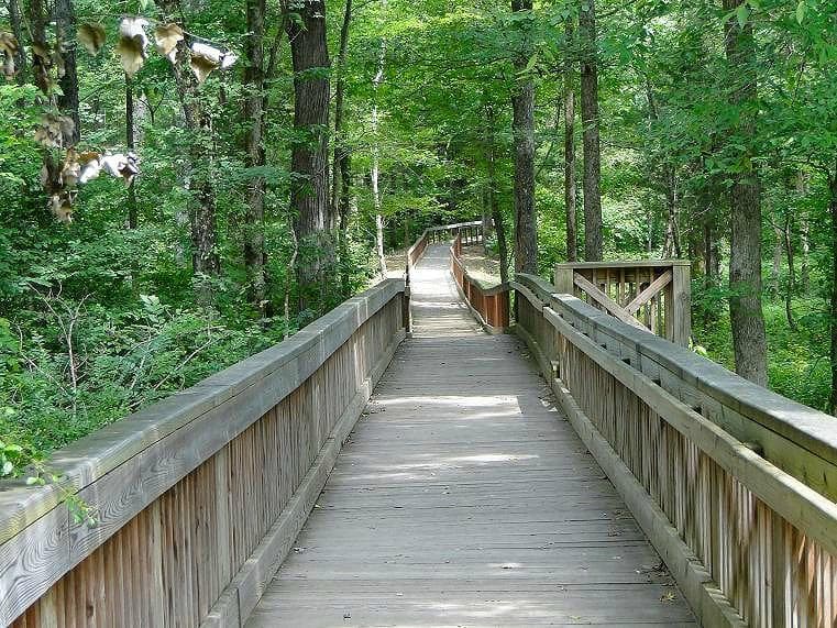 it's a nice walk to the gold mine