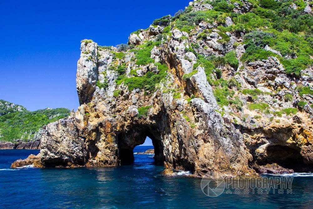 Poor Knights Islands