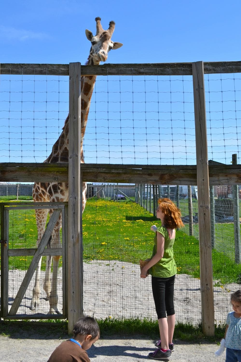 Makes you feel short