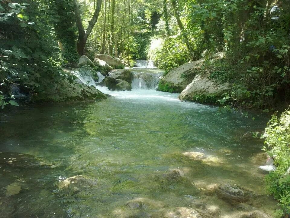 Kayacı vadisi
