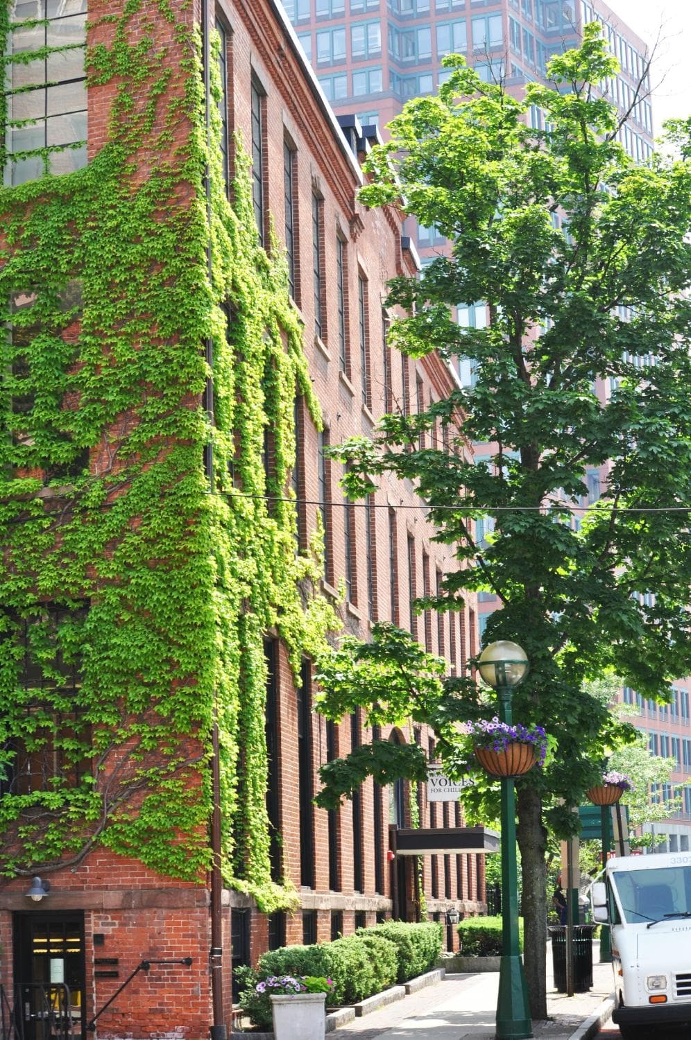 Audubon Whitney Corner