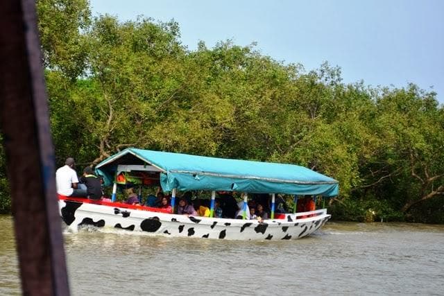 Perahu ini berkapasitas sekitar 20 orang yang akan membawa kita menyusuri indahnya hutan.
