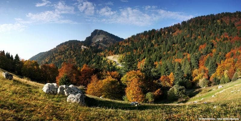 Col des Ayes à l'automne