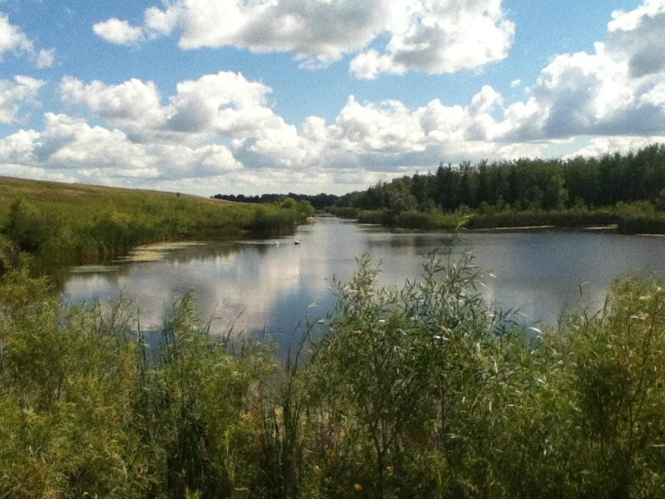 View from one of the bridges Kilcona Park Winnipeg