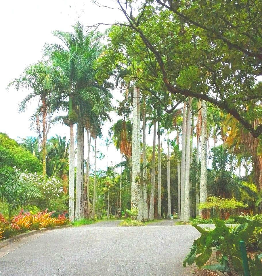 Agradables y seguras caminerías