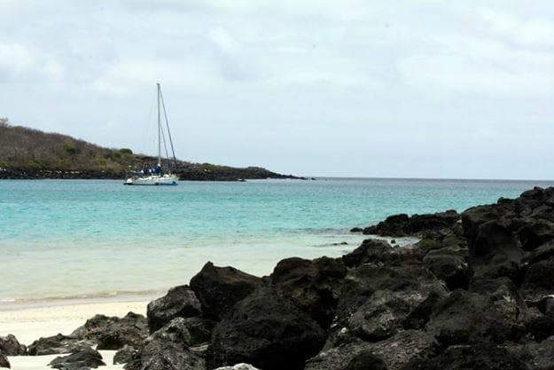 Isla Lobos