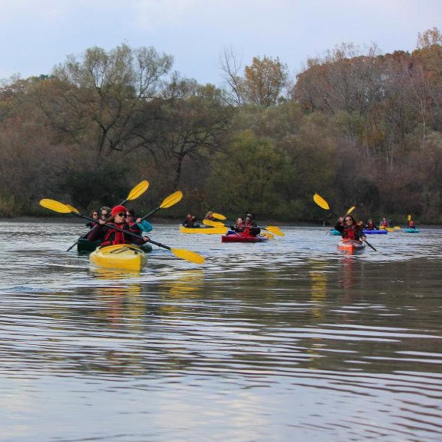 Fall Colours Kayaking & Canoeing Right Here in Toronto!