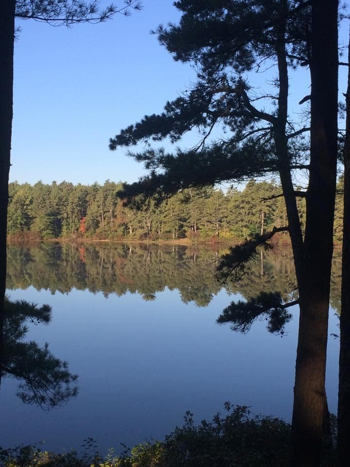 Barrett's Pond