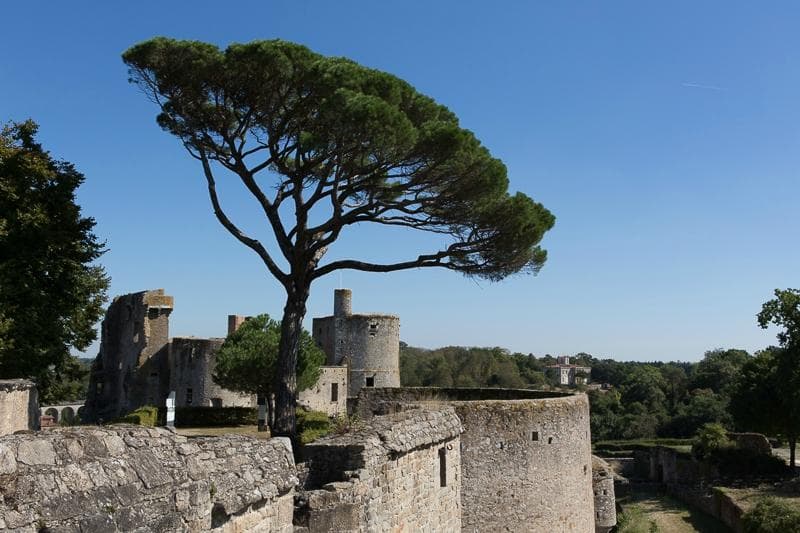 Château de Clisson © Hervé Neveu Derotrie Grand Patrimoine de Loire Atlantique
