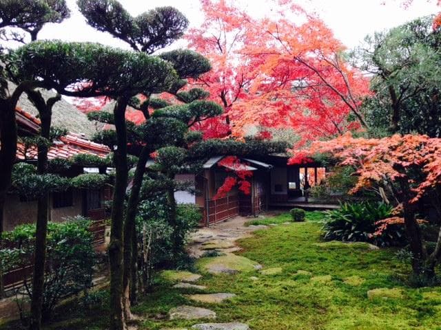 紅葉の季節に行きました