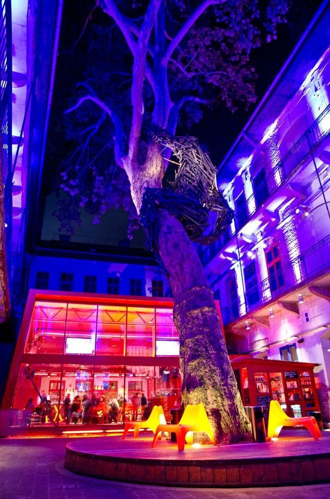 Experience the Vibe at Doboz