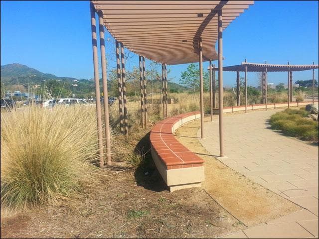 Lovely native grasses and sitting area