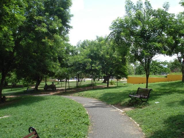 getlstd_property_photo