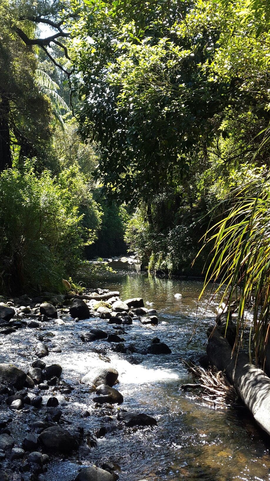 Riverside