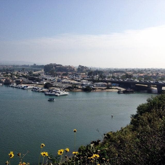 view of the Back Bay from the trail