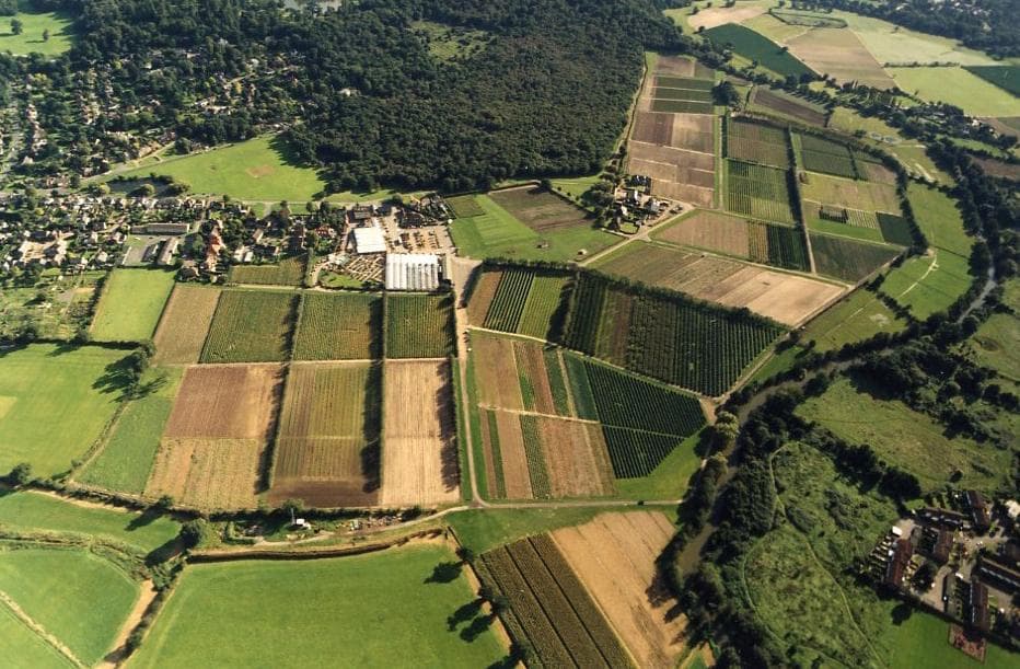 Garson Farm fields from the sky