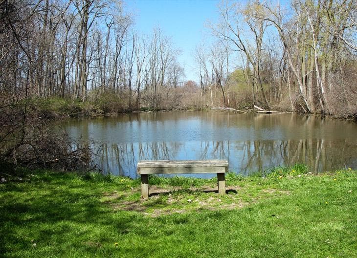Dildine Pond on North Meadow Trail