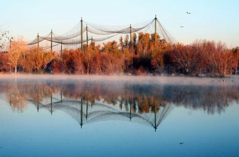 View of garden in fal