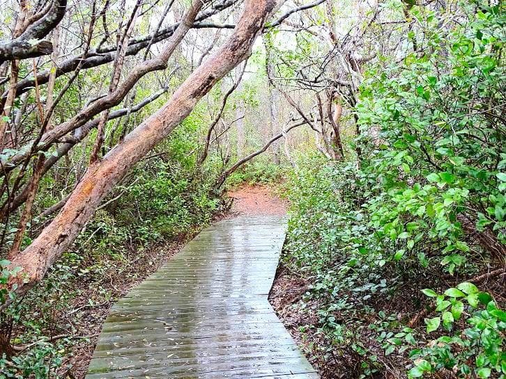 path
