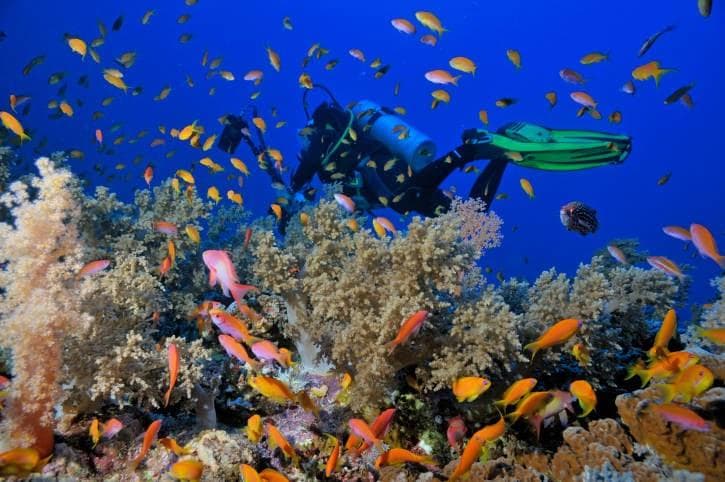 diving