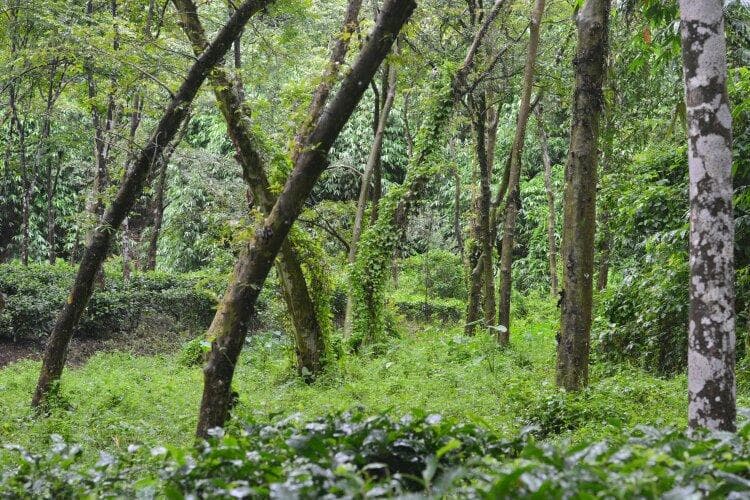 Khadimnagar National Park