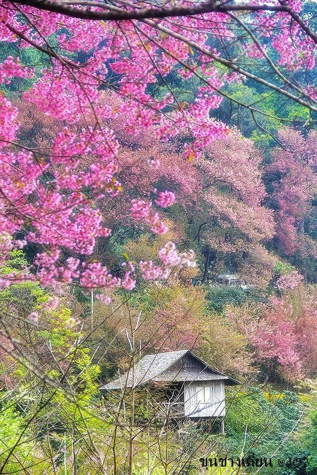 เหมือนอยู่ต่างประเทศ