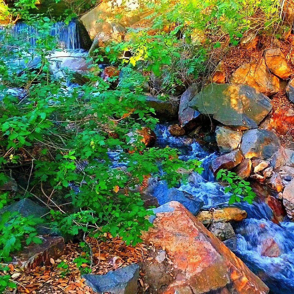 Year round waterfalls & streams!