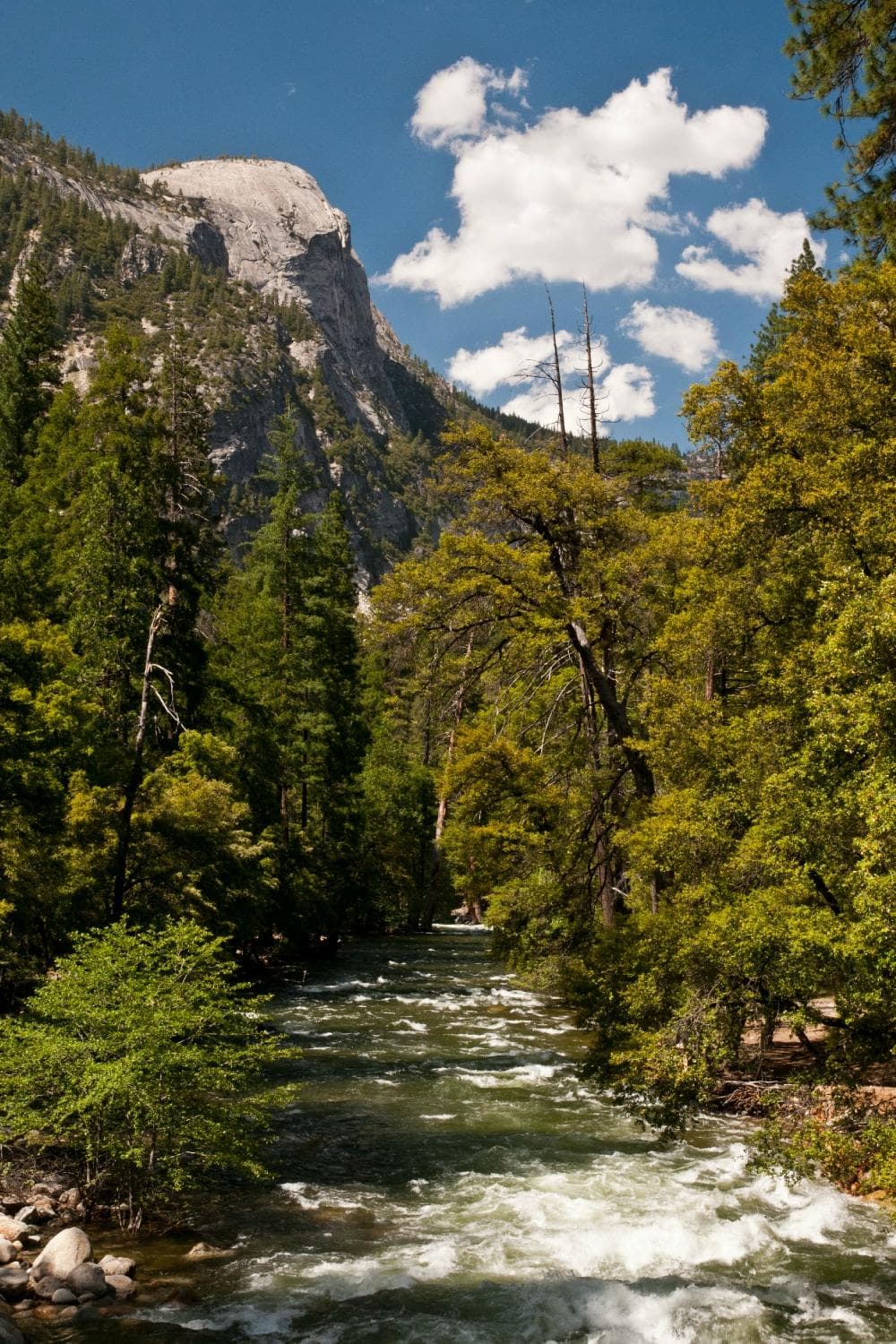 Merced River as it Flows by Happy Isles