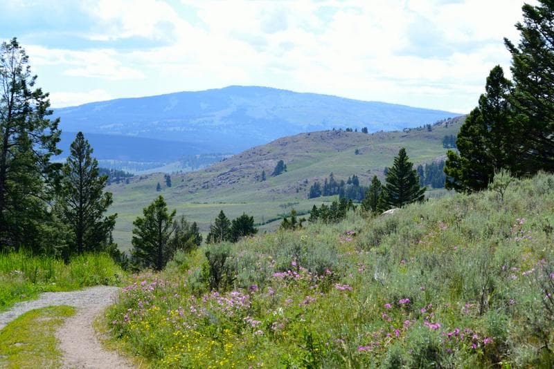 Slough Creek Hike