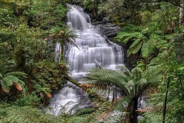 Triplet Falls Victoria